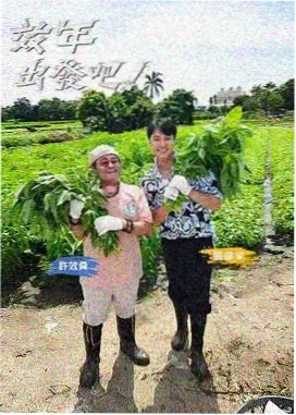 河畔之梦影评